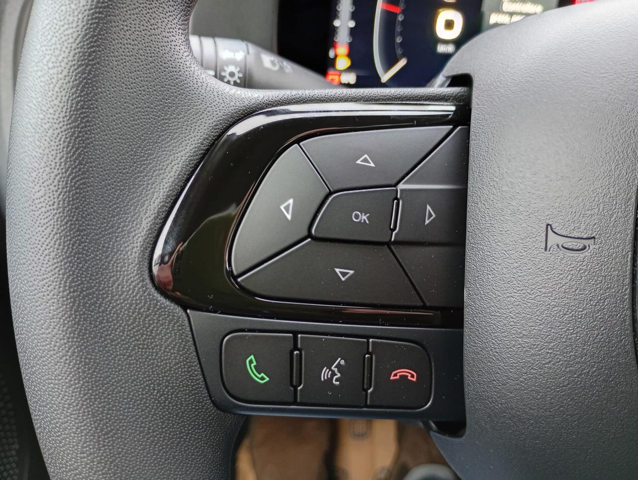 Fiat Panda Pandina 1.0 FireFly 65 CV Hybrid Icon nuova