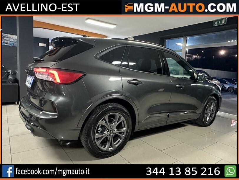 Ford Kuga 1.5 EcoBlue 120 CV aut. 2WD ST-Line X