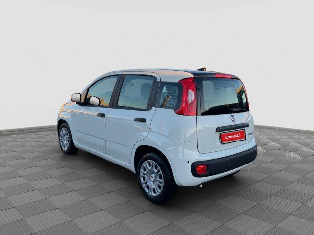 FIAT Panda Pandina 1.0 FireFly 65 CV Hybrid Icon