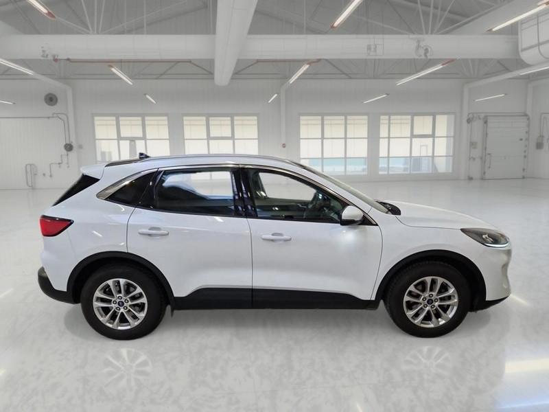 FORD KUGA 1.5 ECOBLUE 120 CV 2WD TITANIUM BUSINESS SUV