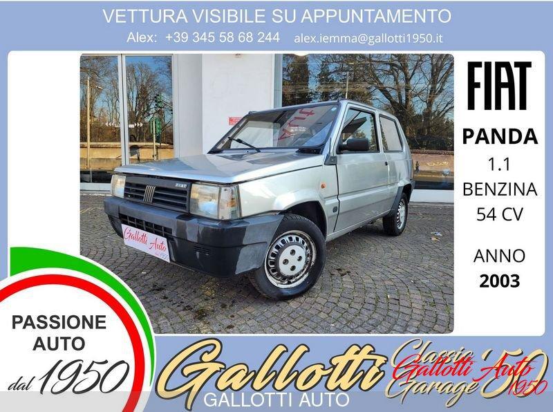 FIAT Panda 1100 i.e. cat College