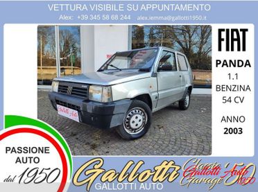 FIAT Panda 1100 i.e. cat College