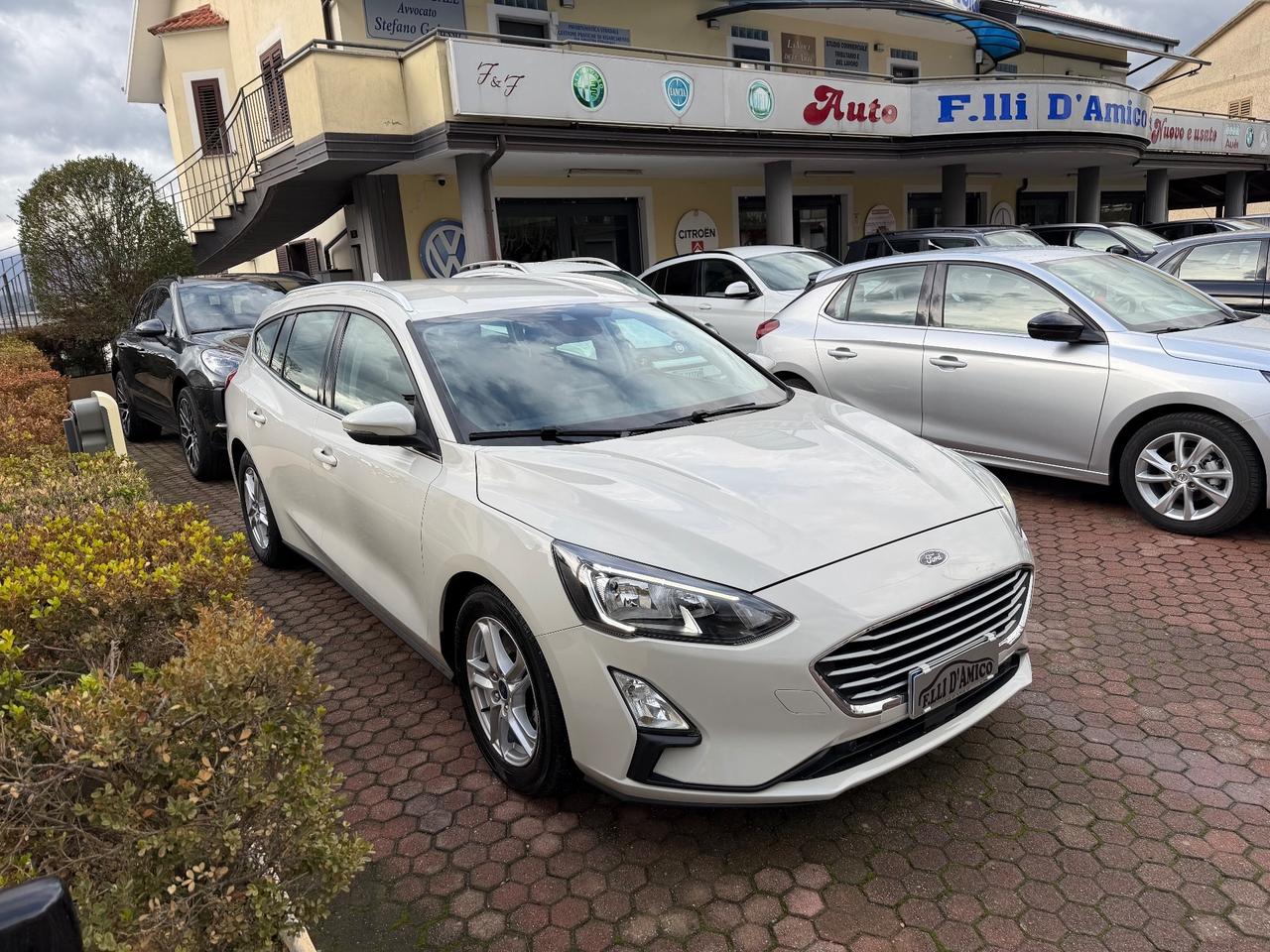 Ford Focus 1.5 EcoBlue 120 CV automatico SW Business Co-Pilot