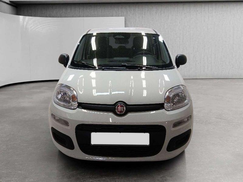 FIAT Pandina 1.0 firefly hybrid Icon s&s 70cv 5p.ti