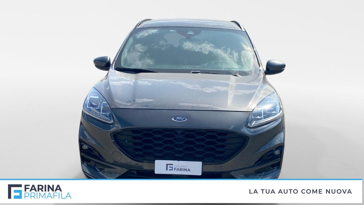 FORD Kuga III 2020 - Kuga 2.0 ecoblue ST-Line X 2wd 120cv auto