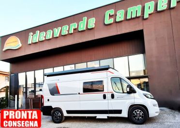 Roller Team LIVINGSTONE 2 SPORT LIMITED