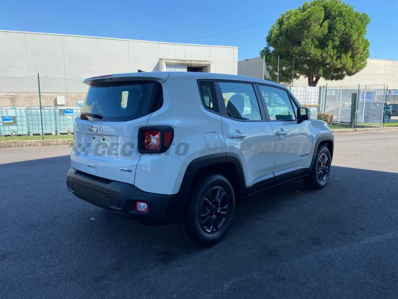 Jeep Renegade Renegade My21 Business 1.3 GseT4 150cv Ddct