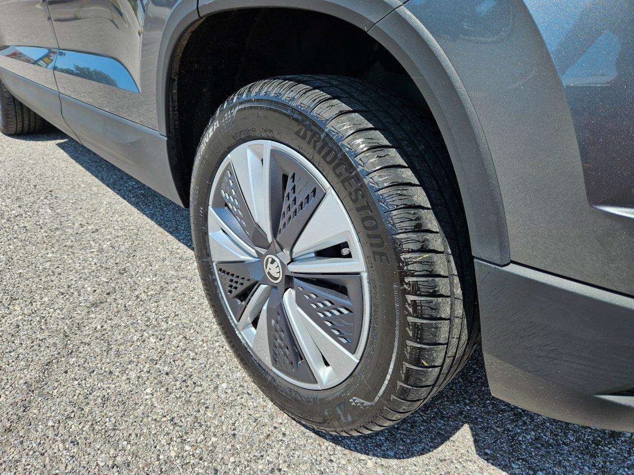 Skoda Karoq 2.0 tdi evo Executive 115cv dsg