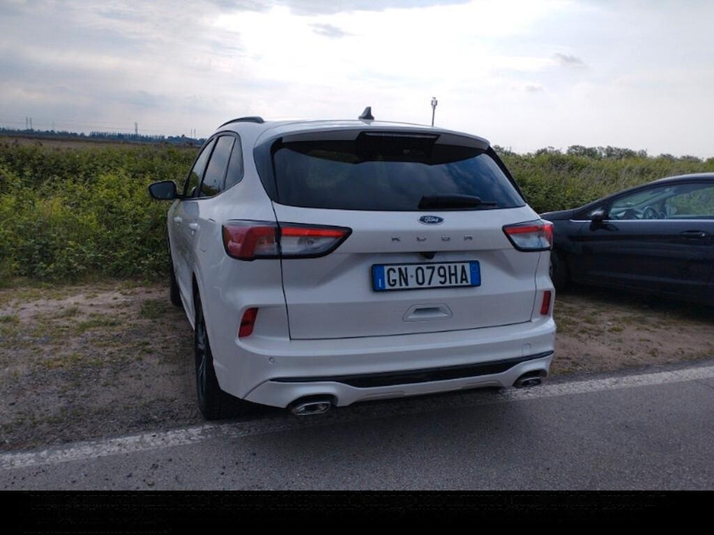 FORD KUGA 2.0 ECOBLUE 120CV POWERSHIFT 2WD ST-LINE ( FARI LED - COCKPIT - CRUISE - NAVI - MIRROR - PDC - TELECAMERA POST. - CERCHI 19 )
