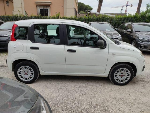 FIAT Panda 1.2 Easy GPL CLIMATIZZATORE OK NEOPATENTATI