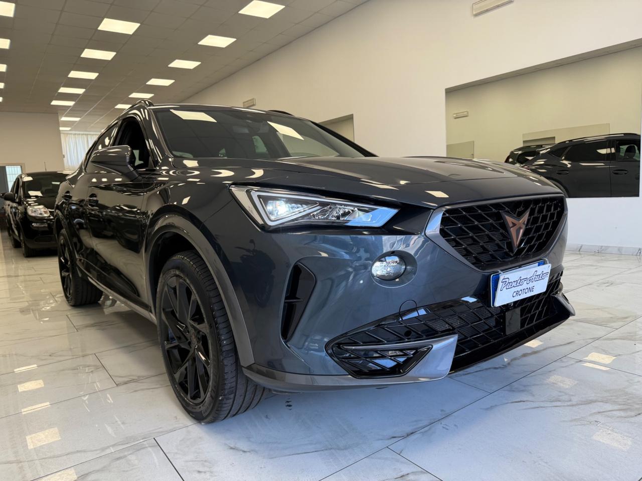 Cupra Formentor 2.0 TDI 4Drive DSG