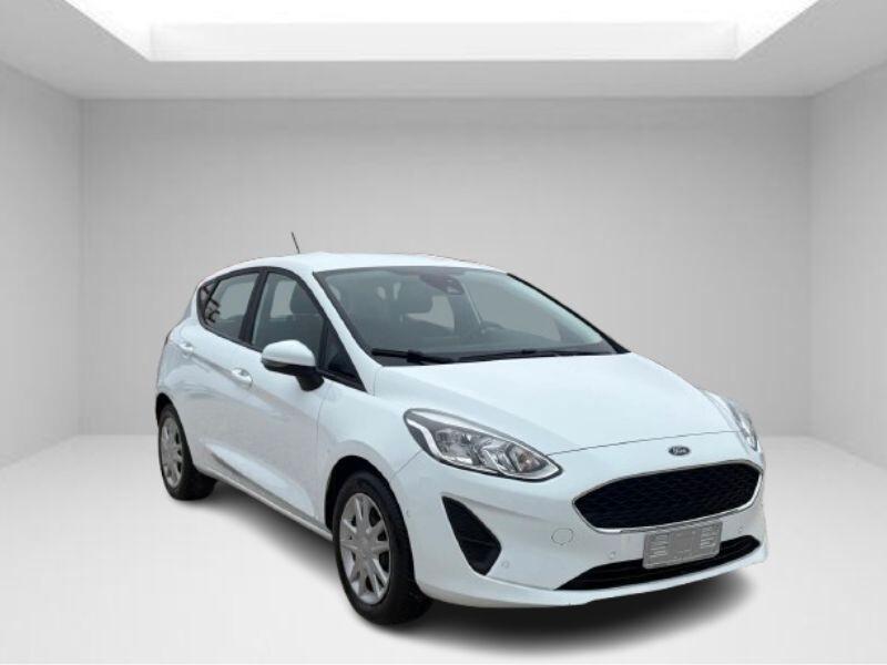 Ford Fiesta 1.0 Ecoboost 95 CV 5 porte Business