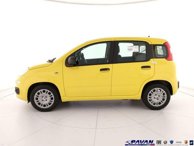 FIAT Pandina Panda 1.0 FireFly 65 CV Hybrid Pop