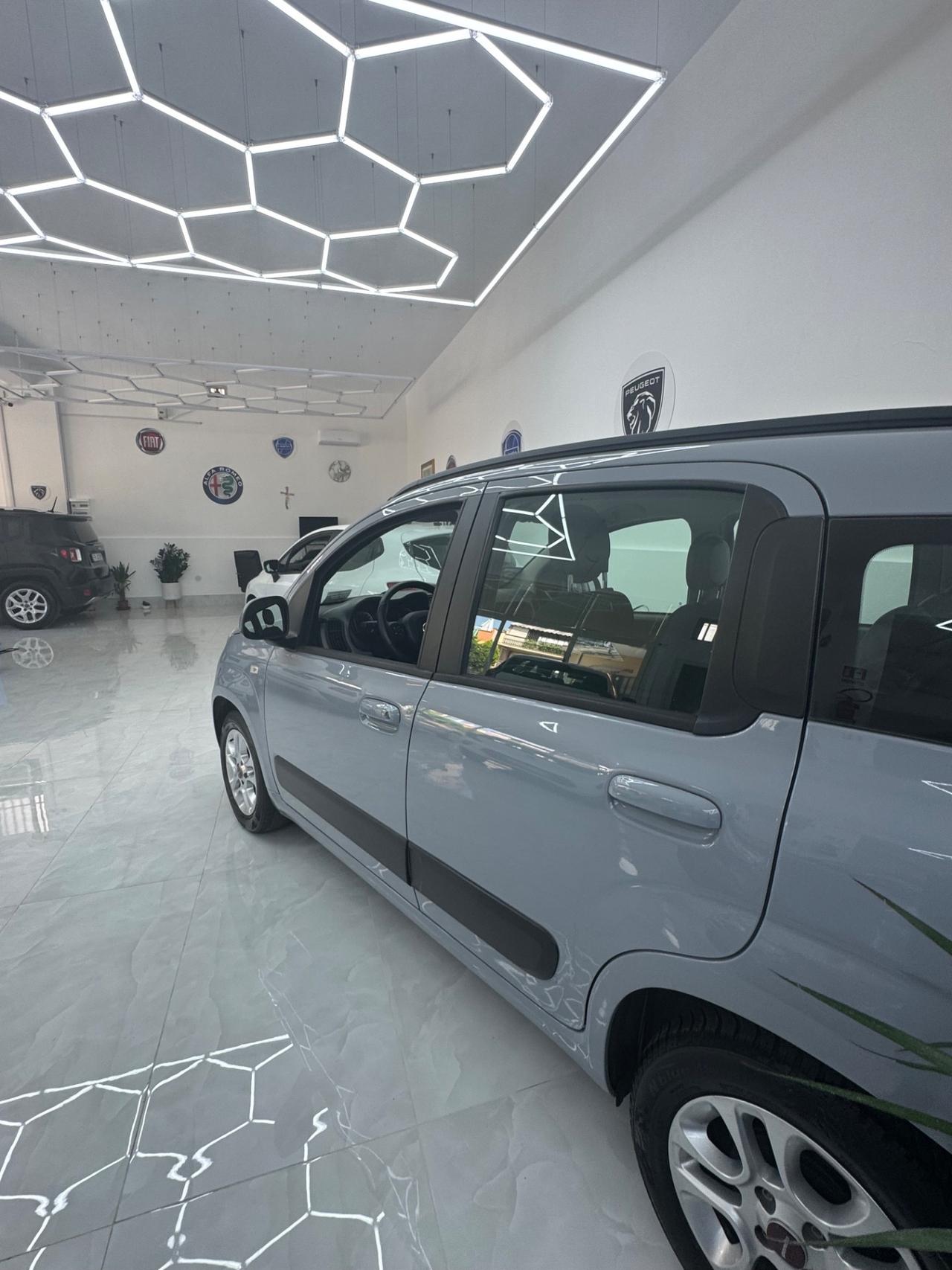 Fiat Panda 1.2 G P L Lounge