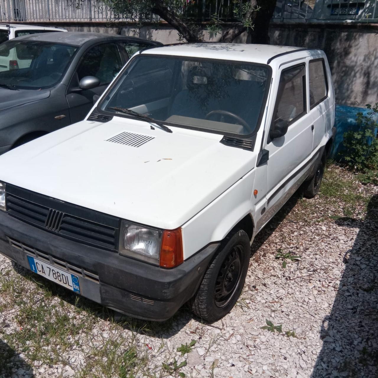 Fiat Panda 1100 i.e. cat Young