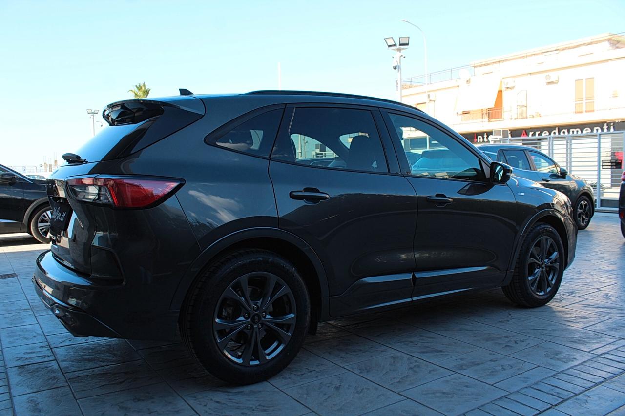 Ford Kuga 1.5 EcoBlue 120 CV aut. 2WD ST-Line X