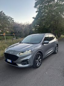 Ford Kuga 2022 1.5 EcoBlue 120 CV ST-Line X