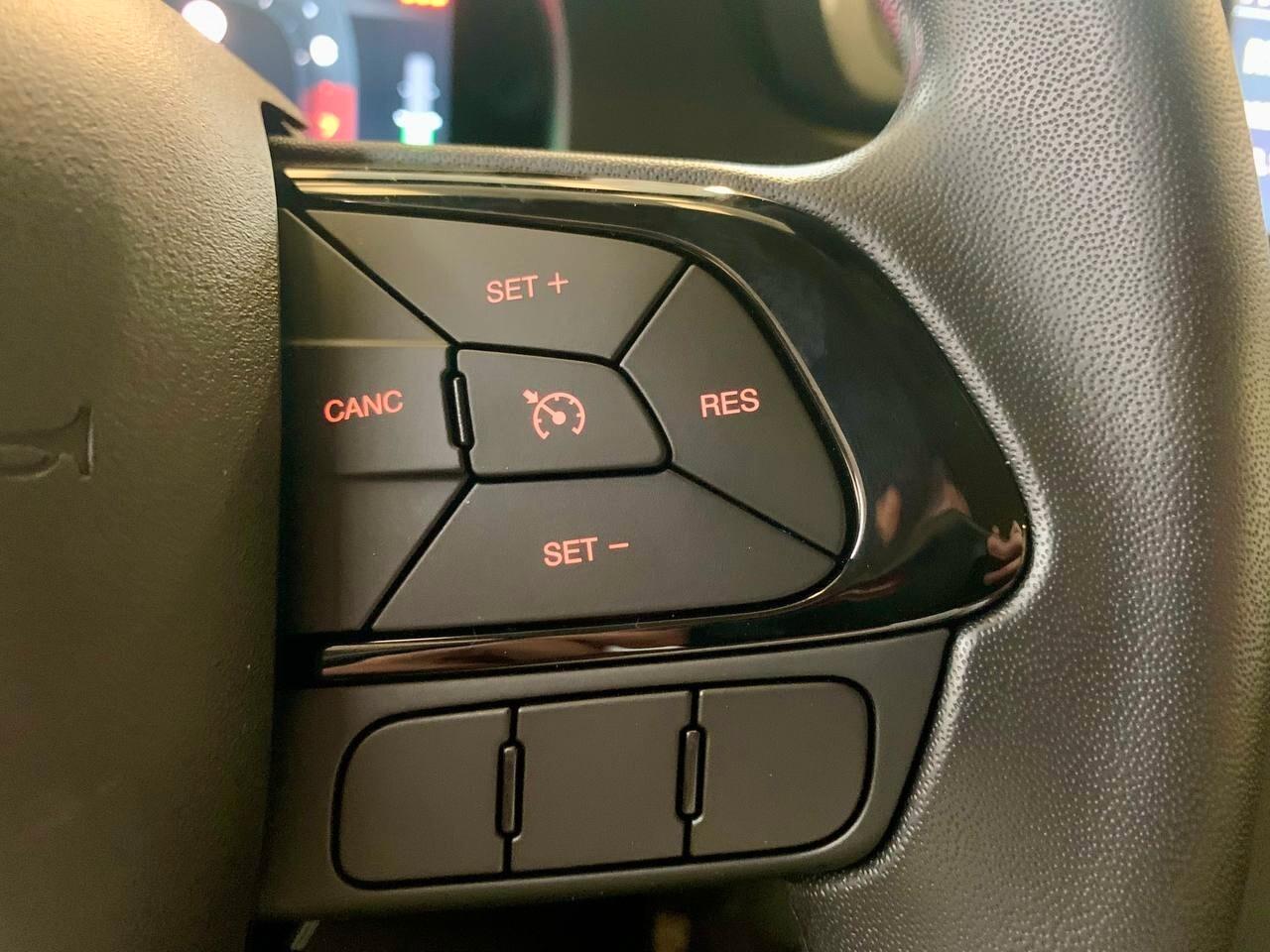 Fiat Panda 1.0 FireFly S&S Hybrid Pandina *PREZZO PROMO*