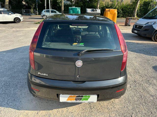 FIAT Punto OK NEO PAT. GPL Classic 1.2 5 porte Active