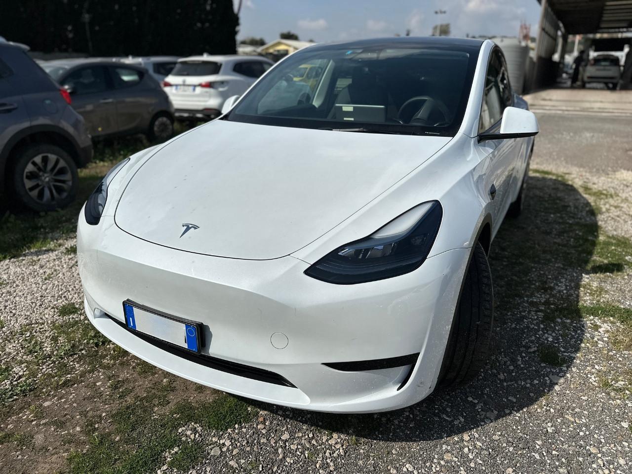 TESLA Model Y 2021 - Model Y Single Motor rwd