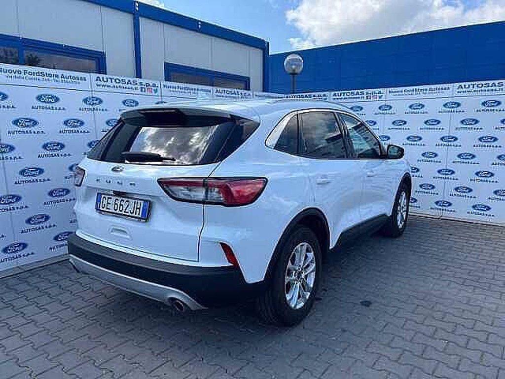 FORD Kuga 1.5 EcoBlue 120 CV 2WD Titanium Business del 2021