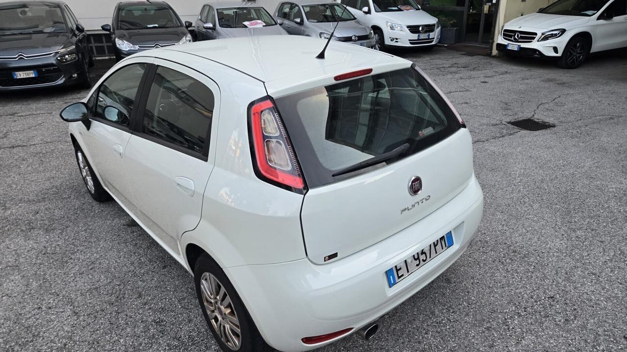 Fiat Punto 1.2 8V 5 porte Street Ok Neopatentati