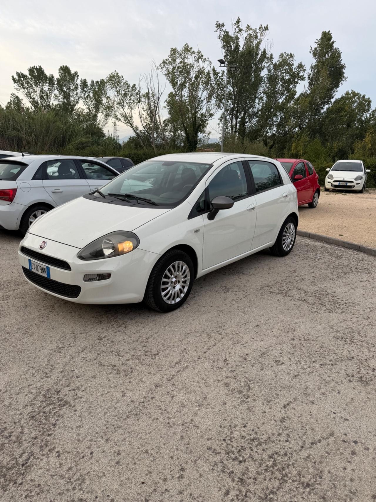 Fiat Punto 1.3 MJT II S&S 85 CV 5 porte ECO Lounge