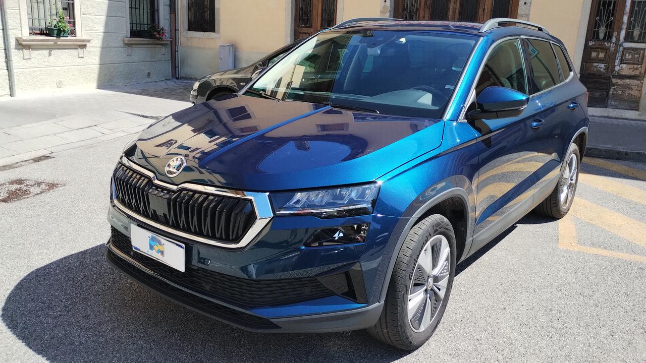 Skoda Karoq 2.0 TDI EVO SCR 115 CV DSG Executive