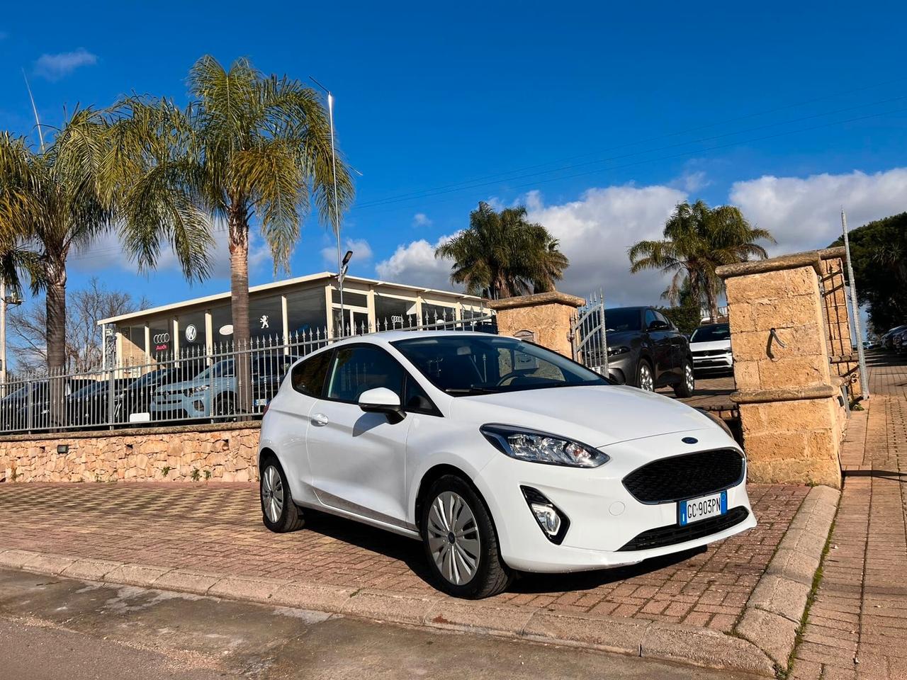 Ford Fiesta 1.5 TDCi 85 CV 3 porte Van Trend