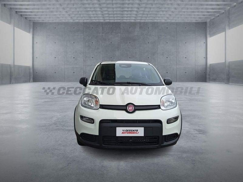FIAT Panda Panda 1.0 70cv Hybrid Panda