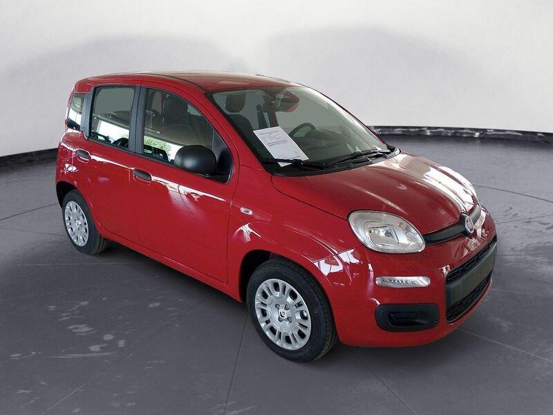 FIAT Panda NEW My25 1.0 70cv Hybrid Panda