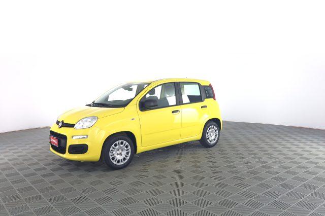 FIAT Panda Pandina 1.0 FireFly 65 CV Hybrid Pop