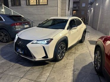 LEXUS UX 250h UX Hybrid 4WD Premium