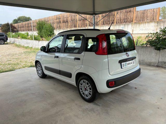 FIAT Panda 1.2 Easy EURO 5 BENZ OK NEOPATENTATI PRONTA CONS.