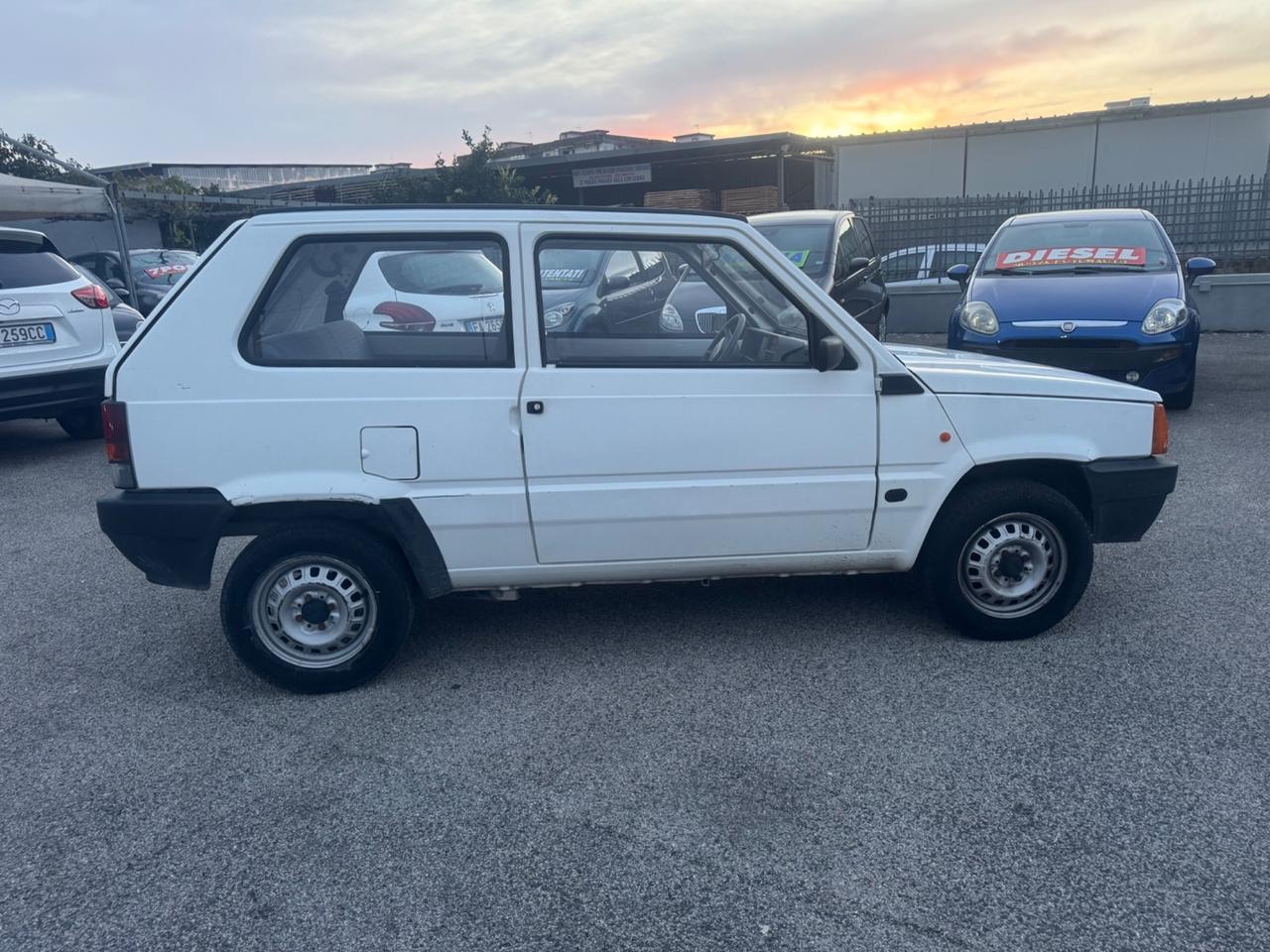 Fiat Panda 1100 i.e. cat Hobby