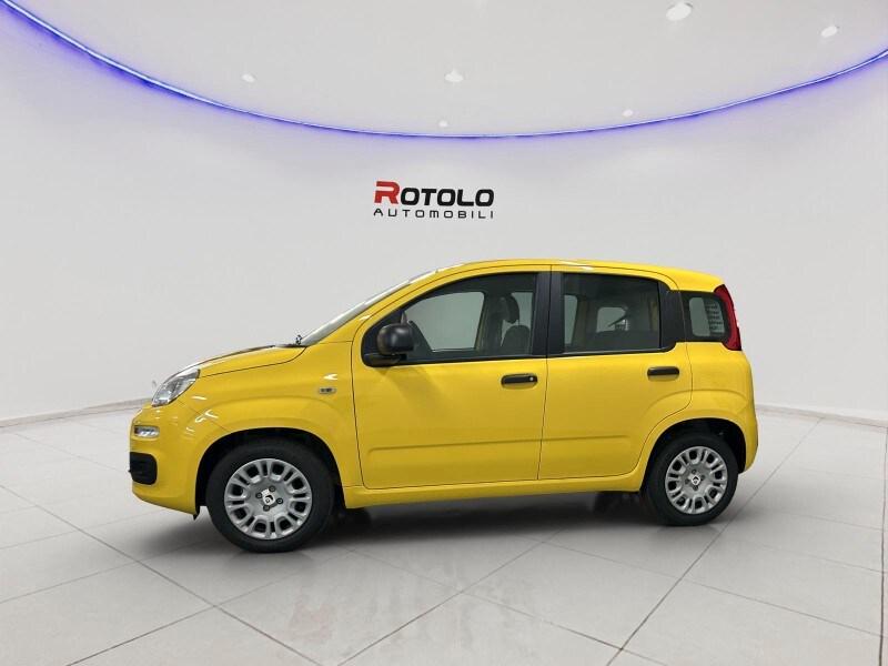 FIAT Panda 3ª serie Panda 1.0 FireFly S&S Hybr...