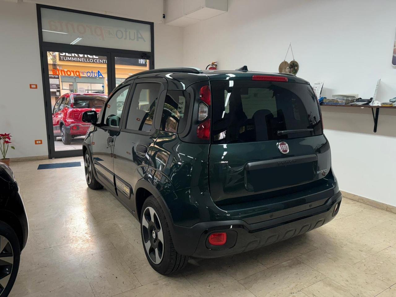 Fiat Panda Pandina Cross 1.0 Hybrid Vari Colori