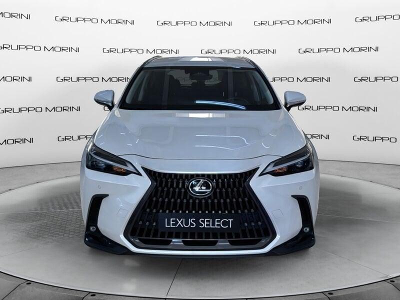 Lexus NX Plug-in Premium+ AWD