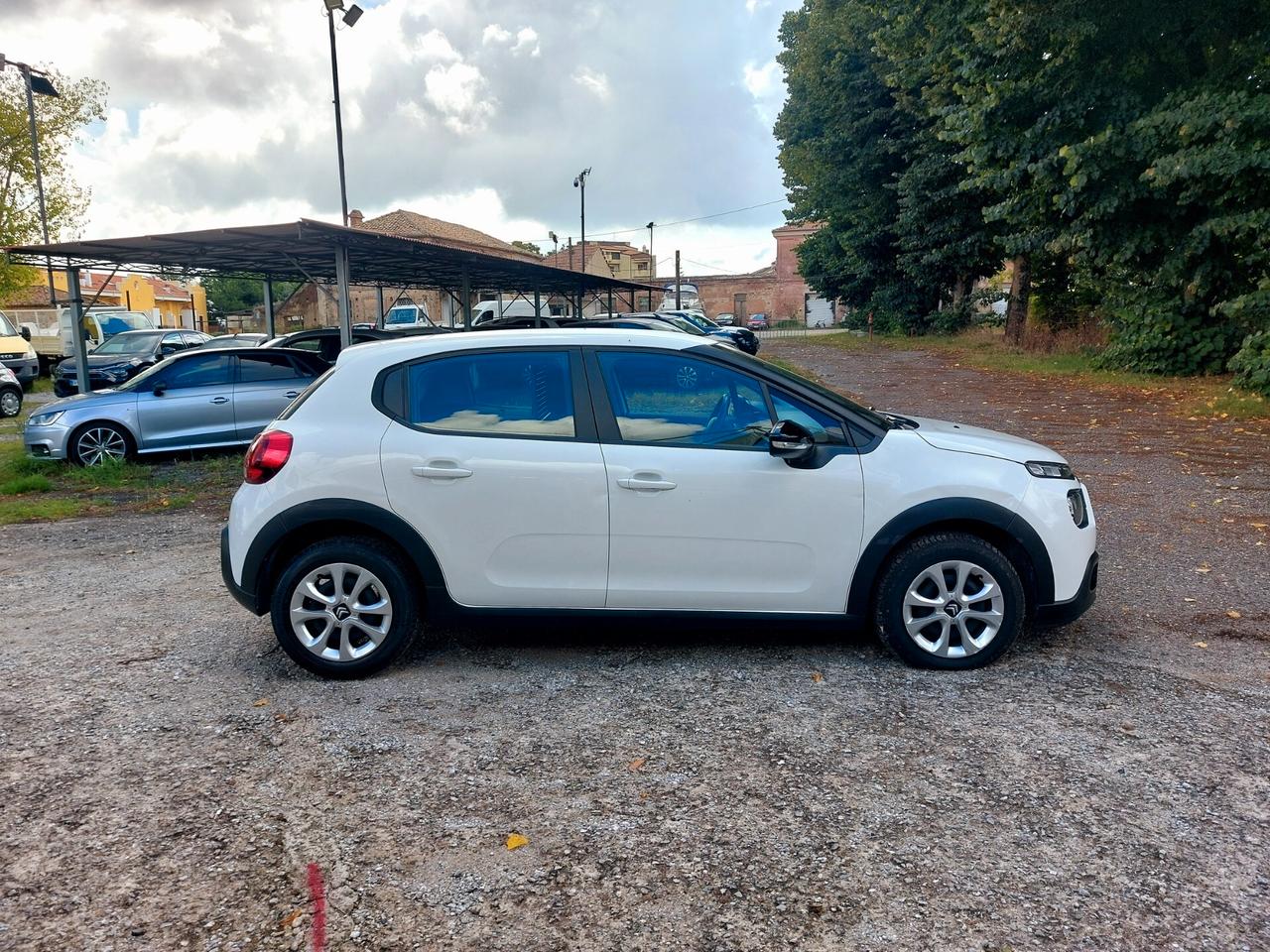 Citroen C3 1.5 BlueHDi 100 CV Van 2 posti - 2022