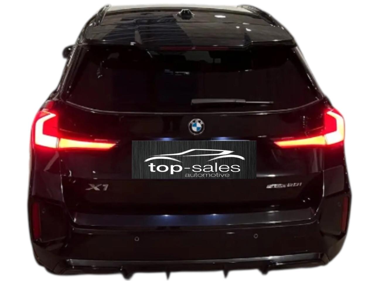 Bmw X1 sDrive 20i Msport Perfetta