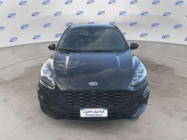 Ford Kuga 2.0 ecoblue ST-Line X 2wd 120cv auto