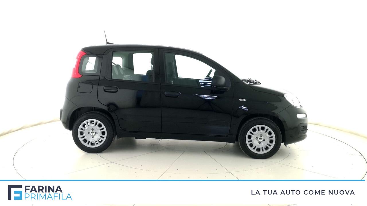 FIAT Panda III - Panda 1.0 firefly hybrid s&s 70cv 5p.ti