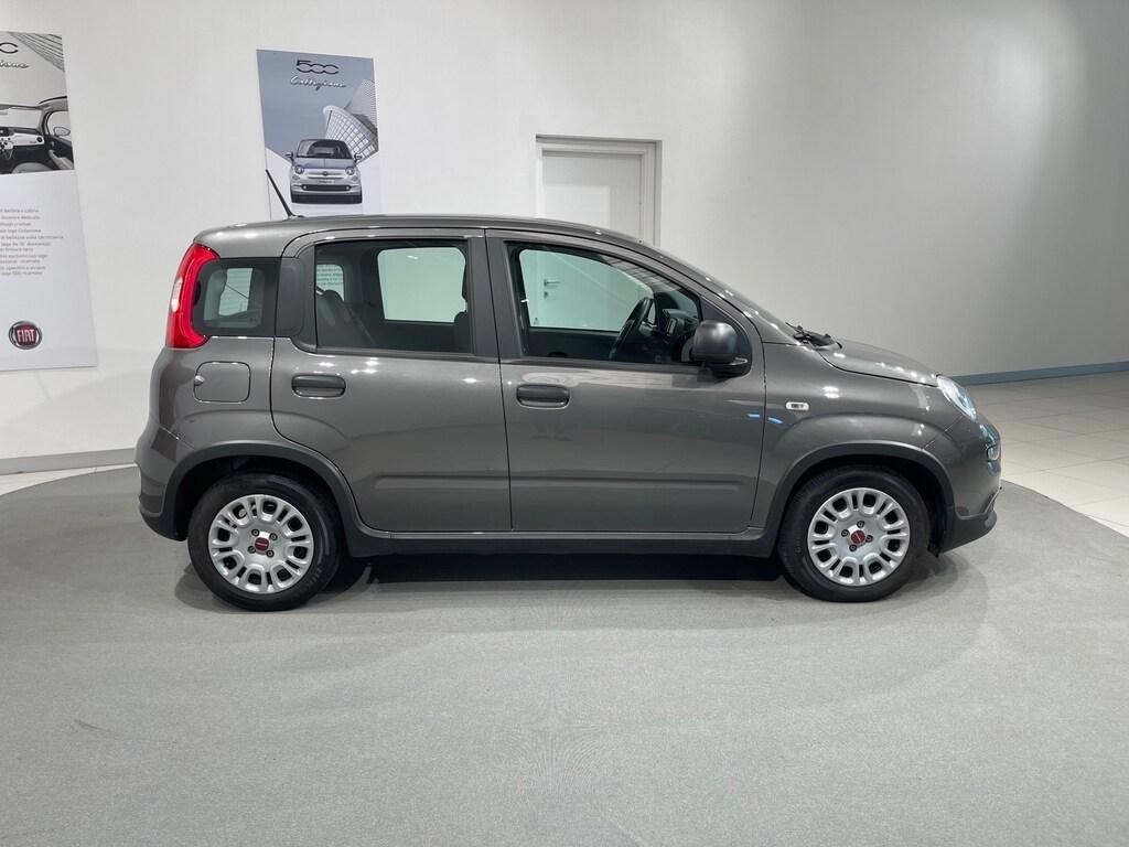 Fiat Panda 1.0 hybrid s&s 70cv 5p.ti