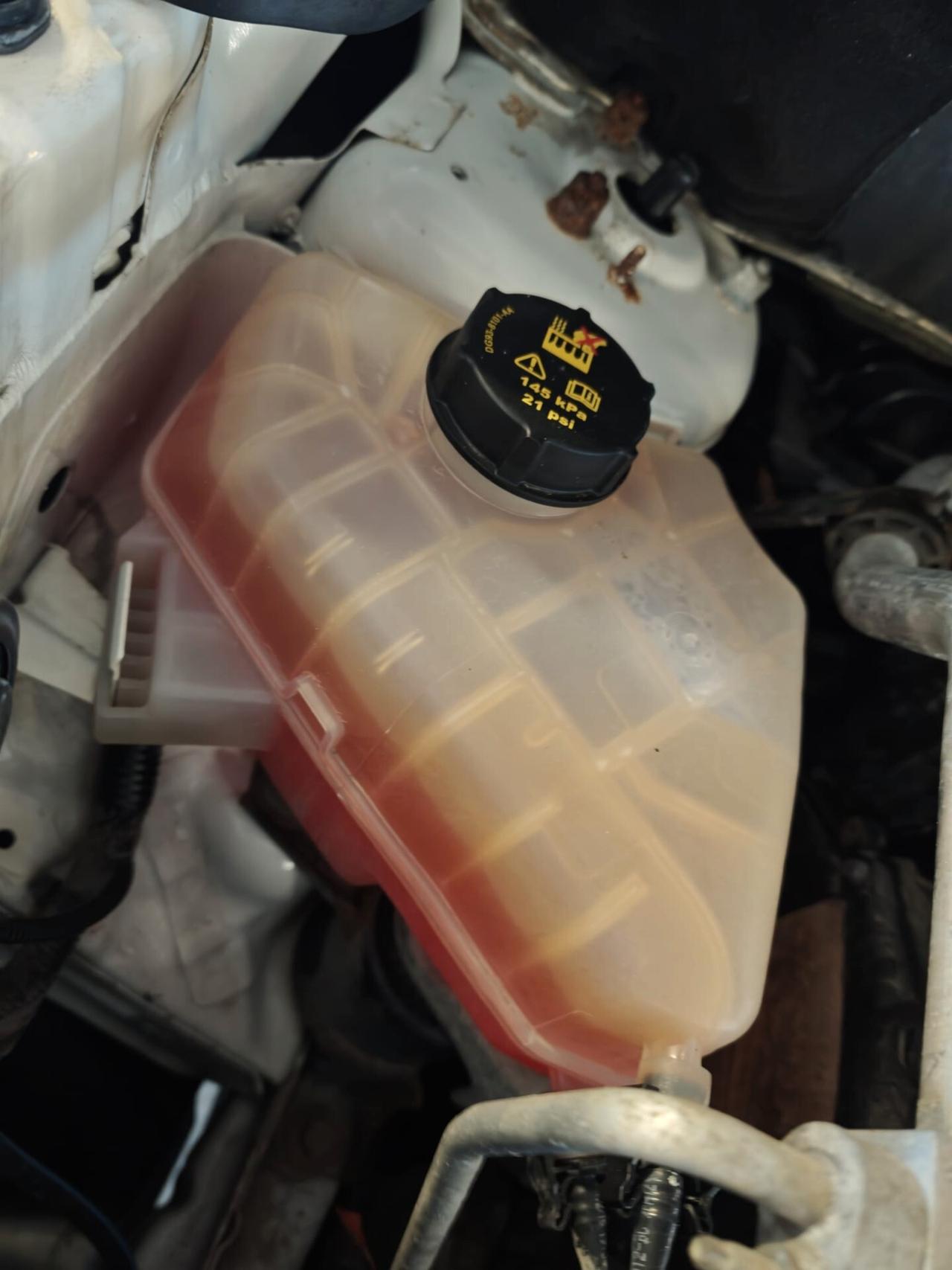 Ford EcoSport 1.5 TDCi 95 CV Titanium S