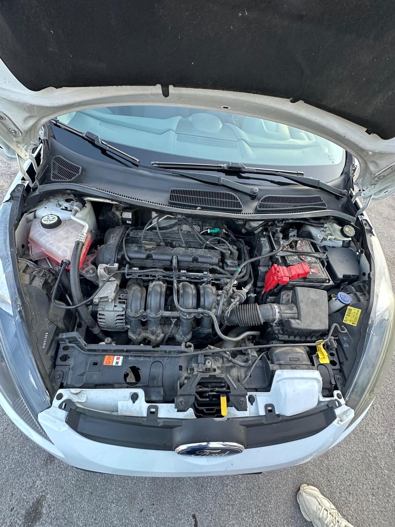 Ford Fiesta 1.2 60CV 5p. Tit.