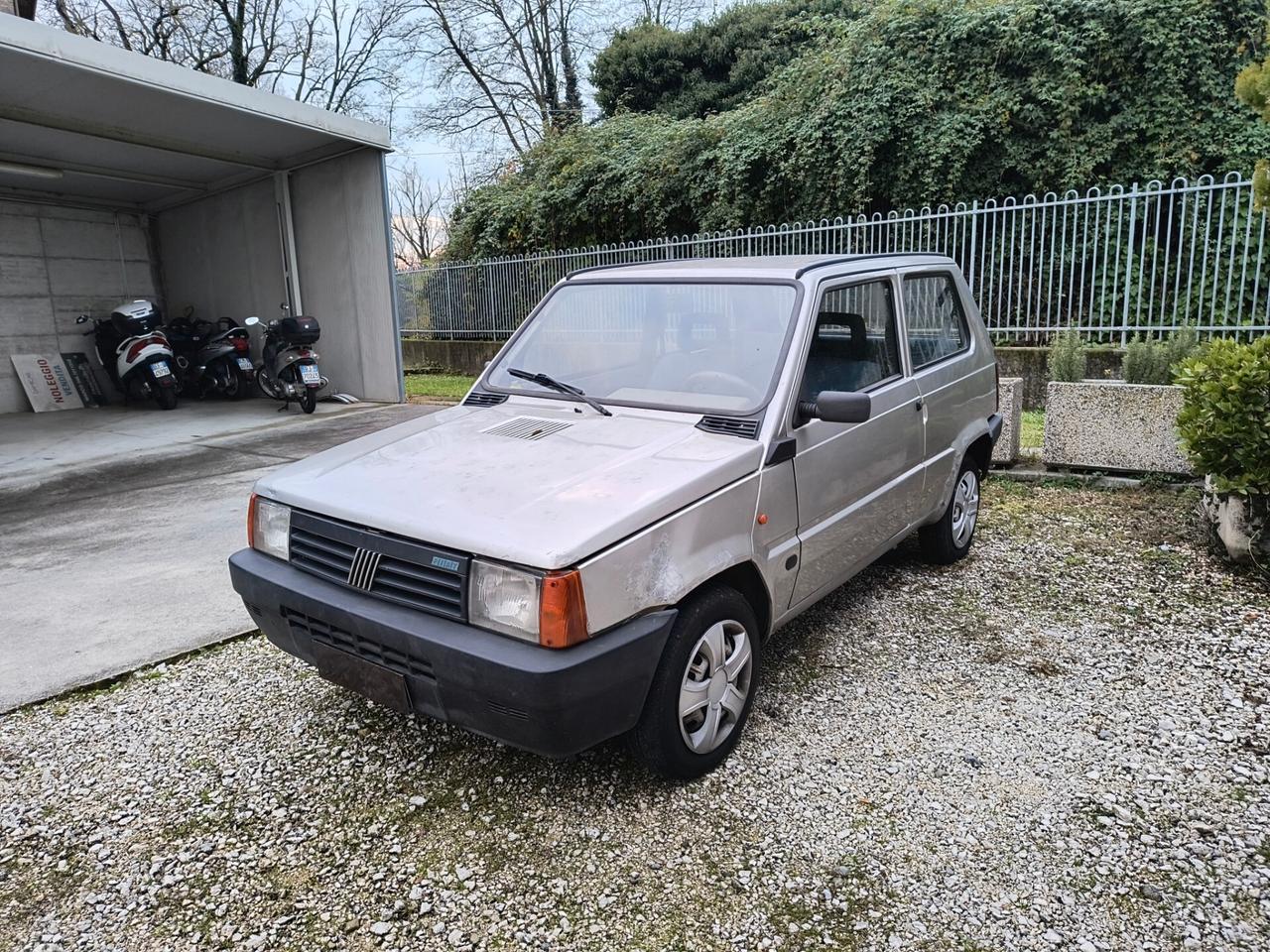 Fiat Panda 1100 i.e. cat Young