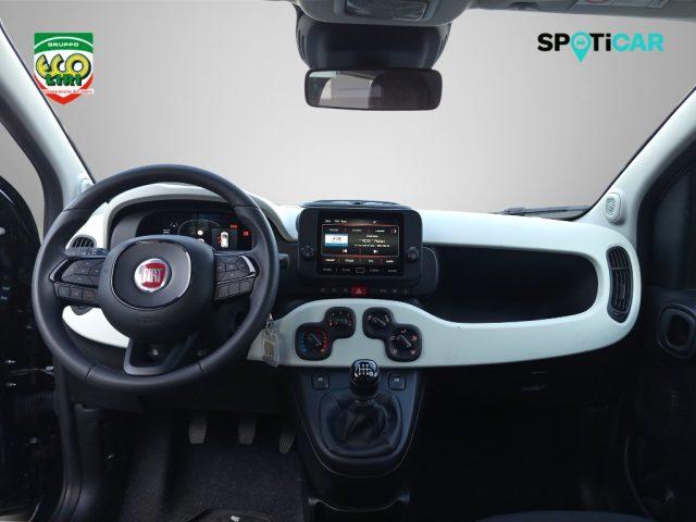 FIAT Panda 1.0 FireFly S&S Hybrid Pandina
