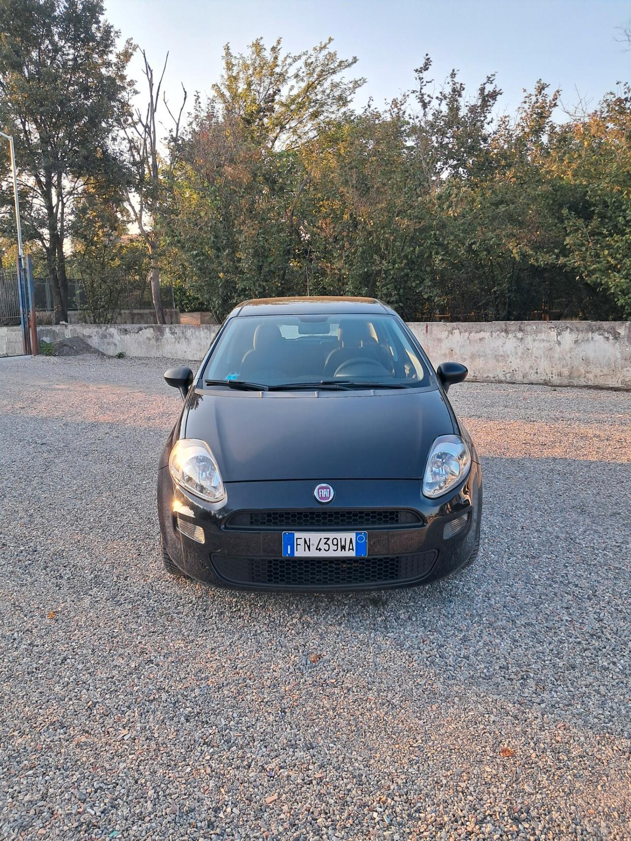 Fiat Punto 1.2 8V 5 porte