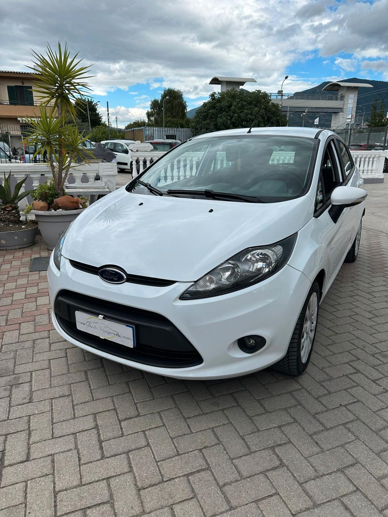 Ford Fiesta 1.4 TDCi 70CV 5 porte Titanium