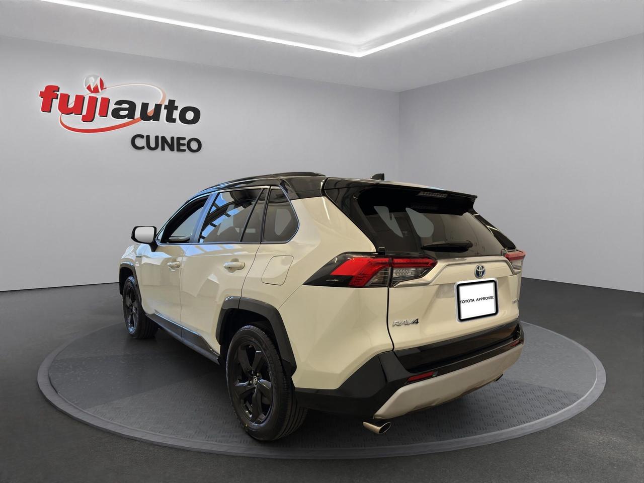 Toyota Rav4 2.5 218cv E-Cvt 2wd Style